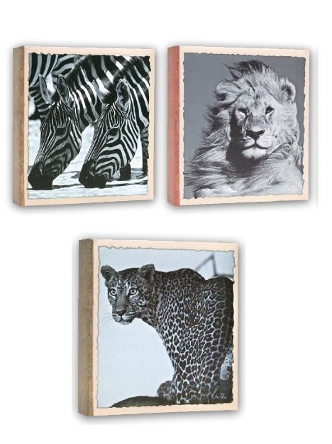 Slika FOTO ALBUM ZEP WILD LIFE 11x16 200 SLIK WL46200