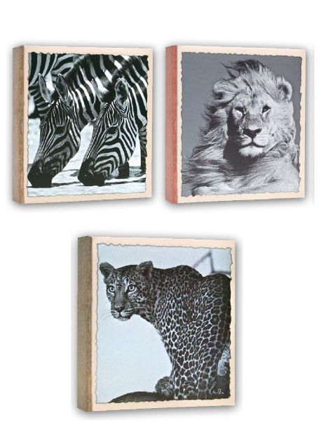 Slika od FOTO ALBUM ZEP WILD LIFE 11x16 200 SLIK WL46200