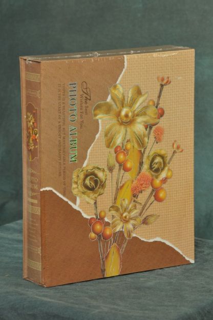 Slika FOTO ALBUM BEST WISHES 20 STRANI, 17x27cm SAMOLEPILNI LISTI   P4603