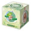 Slika FOTO OKVIR ZEP  SNOW FLAKE BIG GREEN 10X10 CM SF120E1
