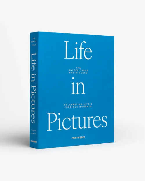 Slika FOTO ALBUM  LIFE IN PICTURES, BLUE PRINTWORKS
