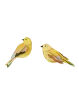 Slika STUDIO ROOF GARDEN BIRD - CITRINELLA PAIR TTM227