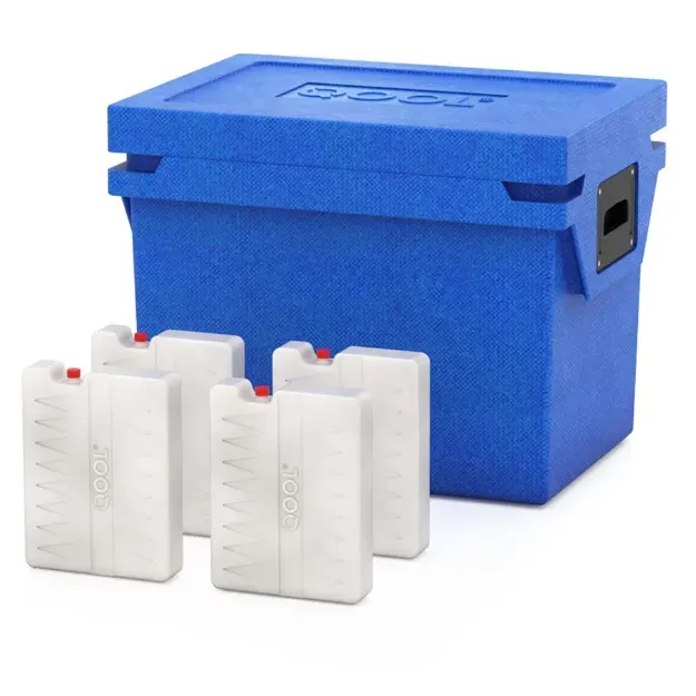 Slika HLADILNA TORBA QOOL BOX M | FROZEN BC000559