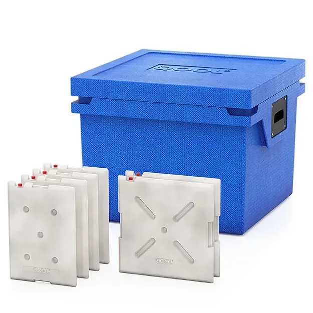 Slika HLADILNA TORBA QOOL BOX L | FROZEN BC000564