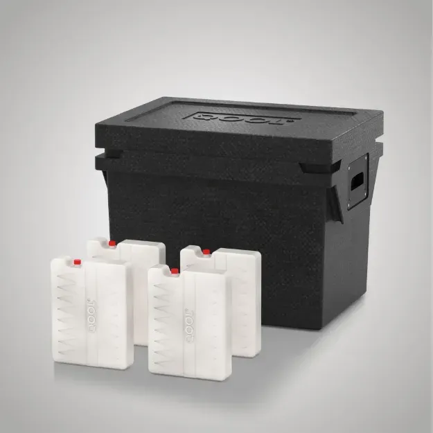 Slika HLADILNA TORBA QOOL BOX ECO+ M | FROZEN BC000745