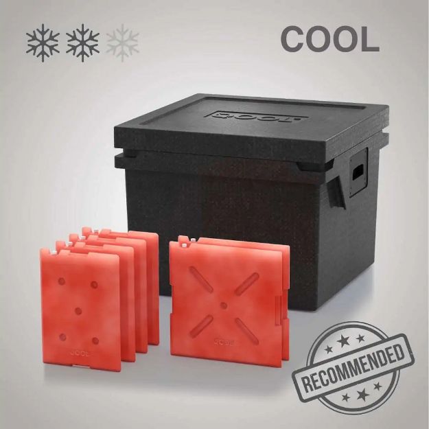Slika HLADILNA TORBA QOOL BOX ECO+ L | COOL BC000751