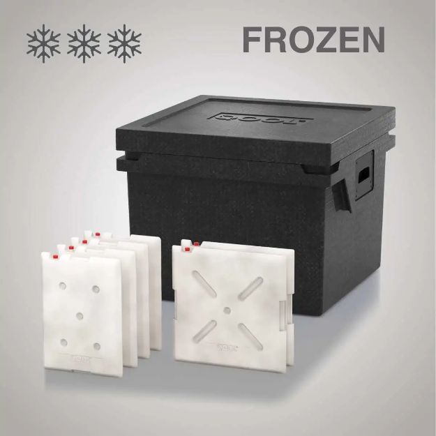 Slika HLADILNA TORBA QOOL BOX ECO+ L | FROZEN BC000750