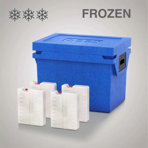 Slika HLADILNA TORBA QOOL BOX M | FROZEN BC000559