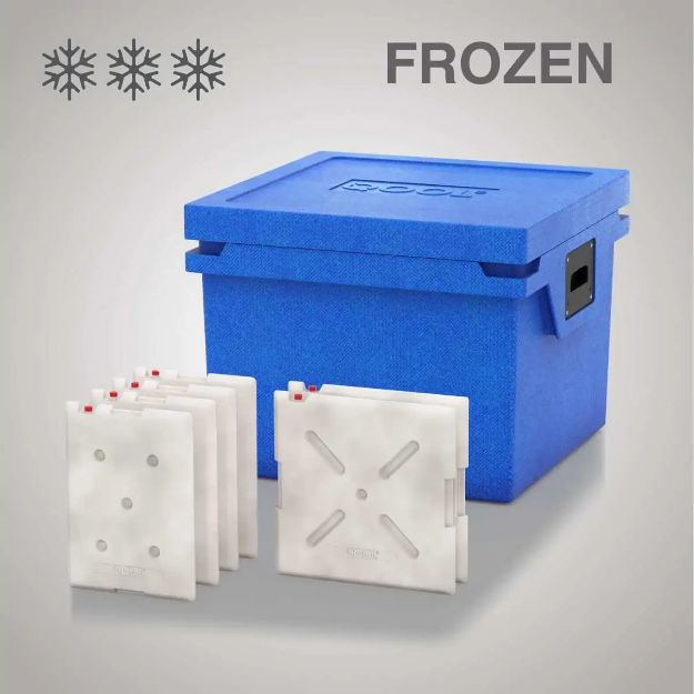 Slika HLADILNA TORBA QOOL BOX L | FROZEN BC000564