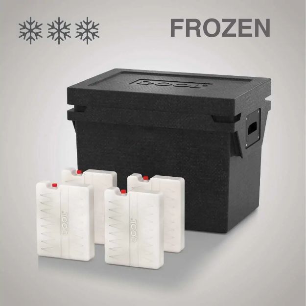 Slika HLADILNA TORBA QOOL BOX ECO+ M | FROZEN BC000745
