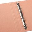Slika GOLDBUCH BINDER A4 TREND APRICOT